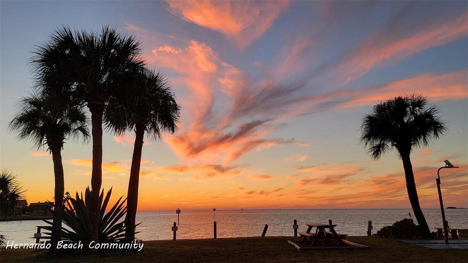 Image 10 of 23 For Lot 1 Flexer Drive