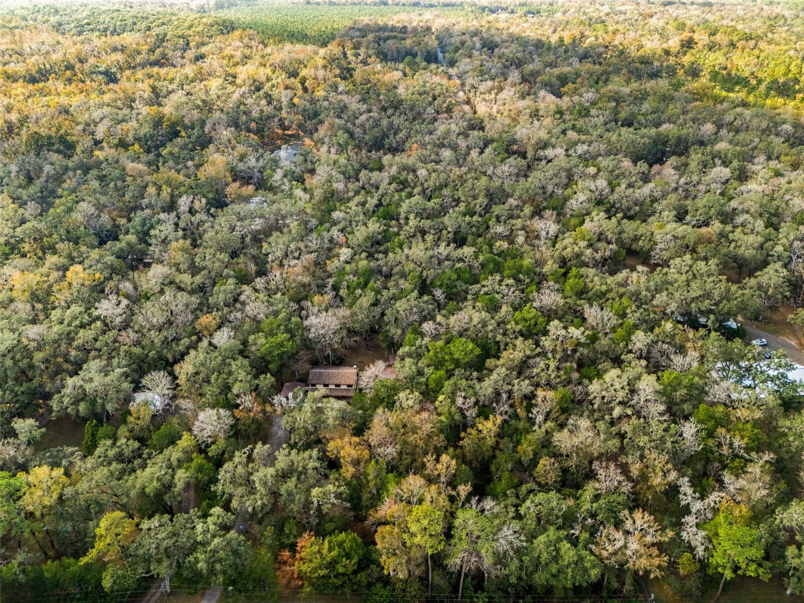 Image 2 of 56 For 12047 Timber Lane