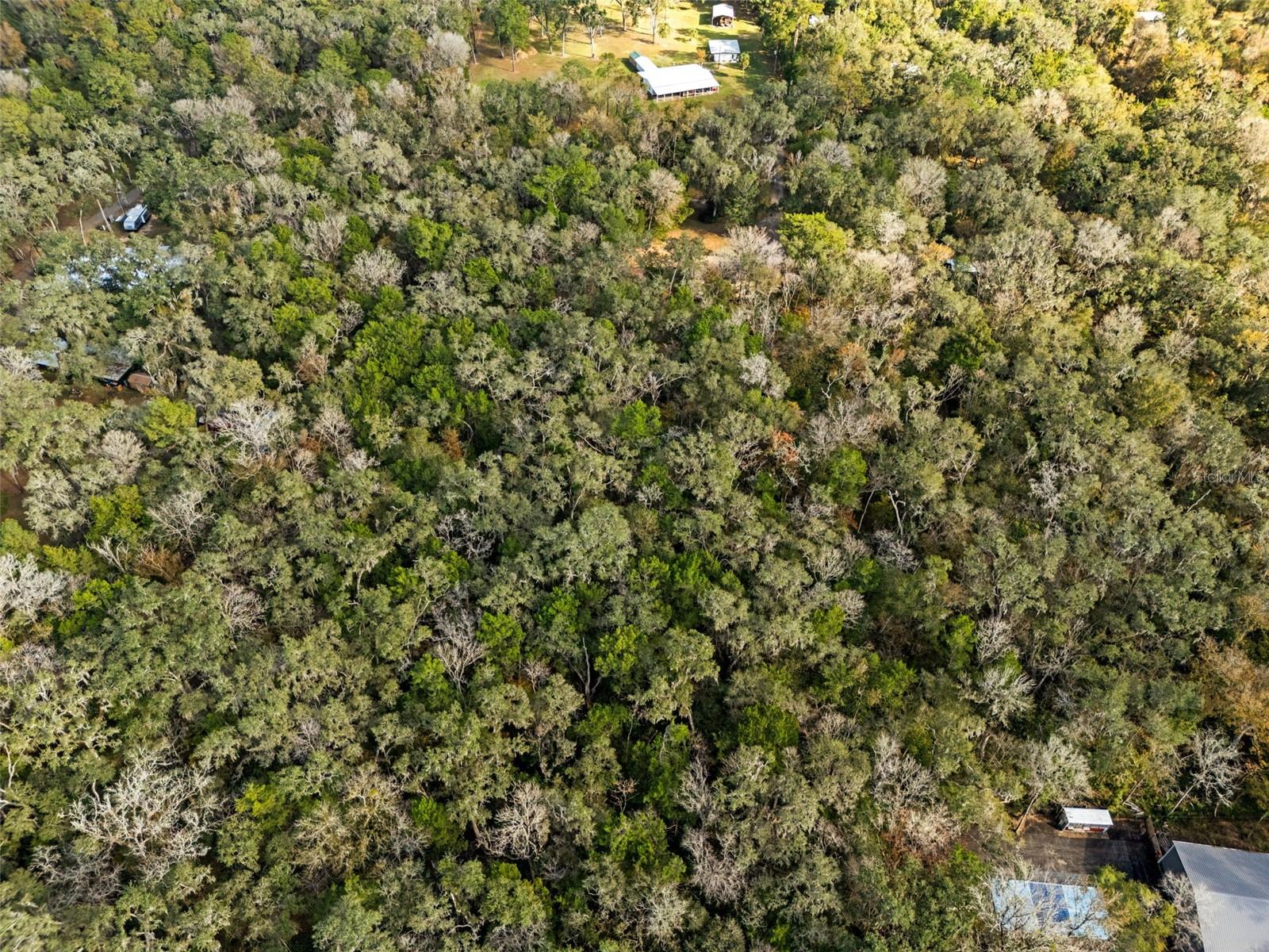 Image 3 of 56 For 12047 Timber Lane