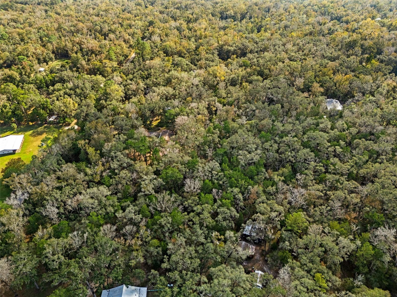 Image 5 of 56 For 12047 Timber Lane