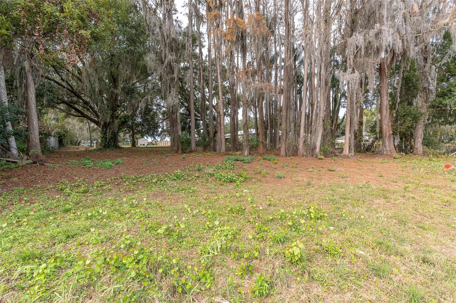 Image 6 of 20 For 19137 Gunn Highway