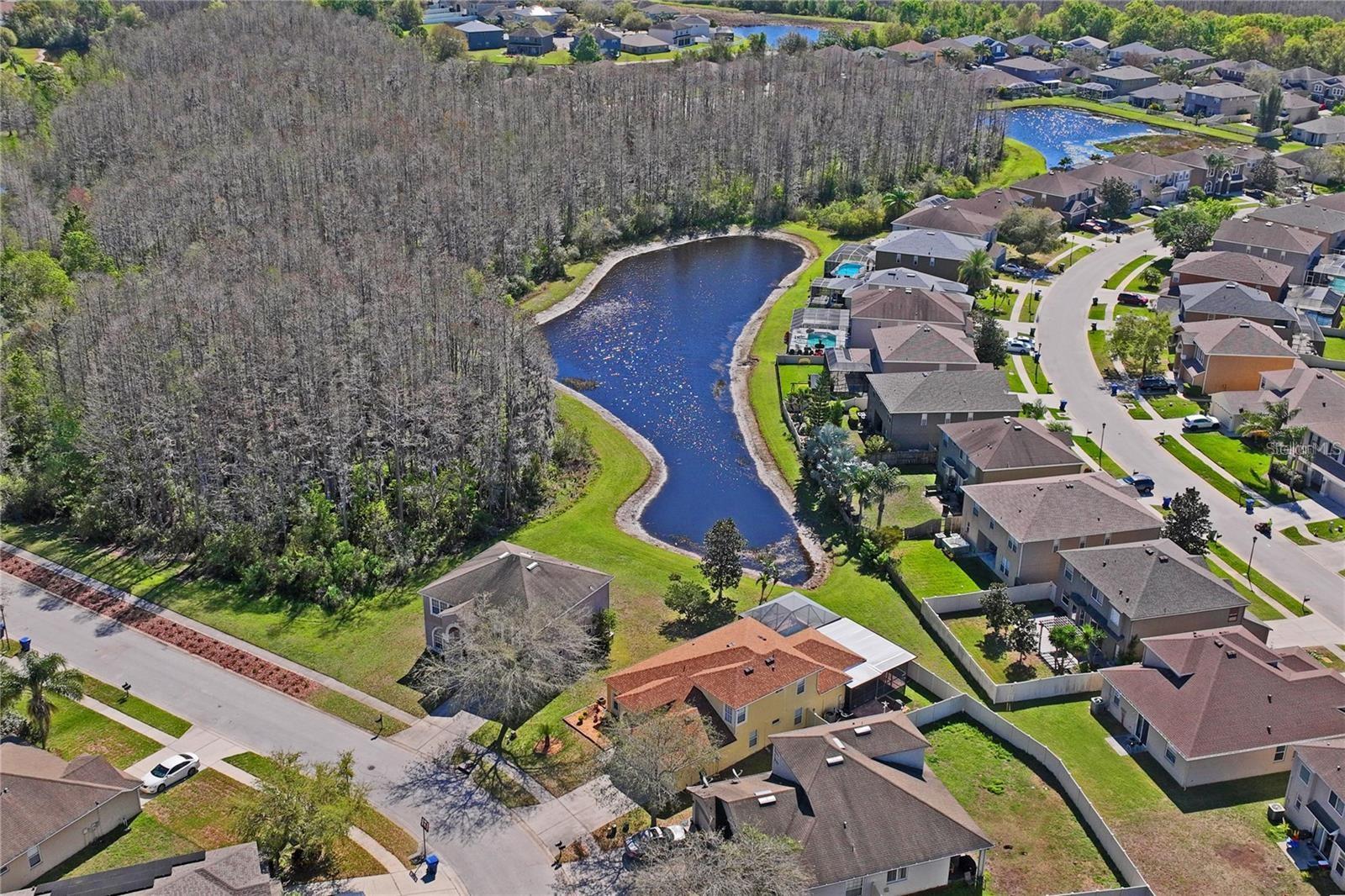 Image 45 of 49 For 3042 Gianna Way