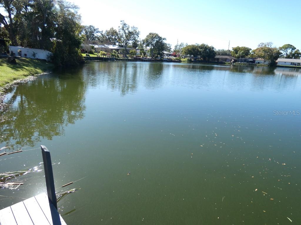 Image 39 of 45 For 1960 Union Street 41