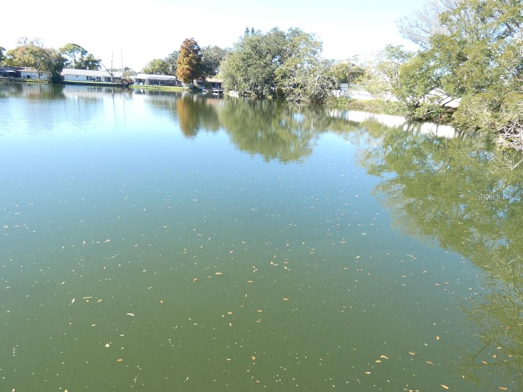 Image 40 of 45 For 1960 Union Street 41