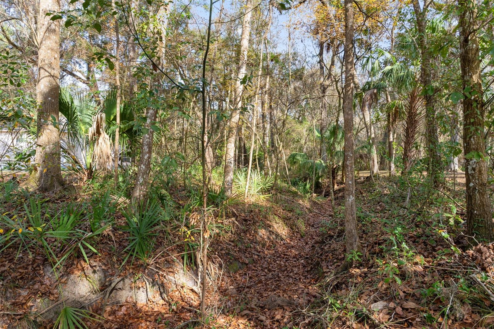 Image 88 of 93 For 5248 Neff Lake Road