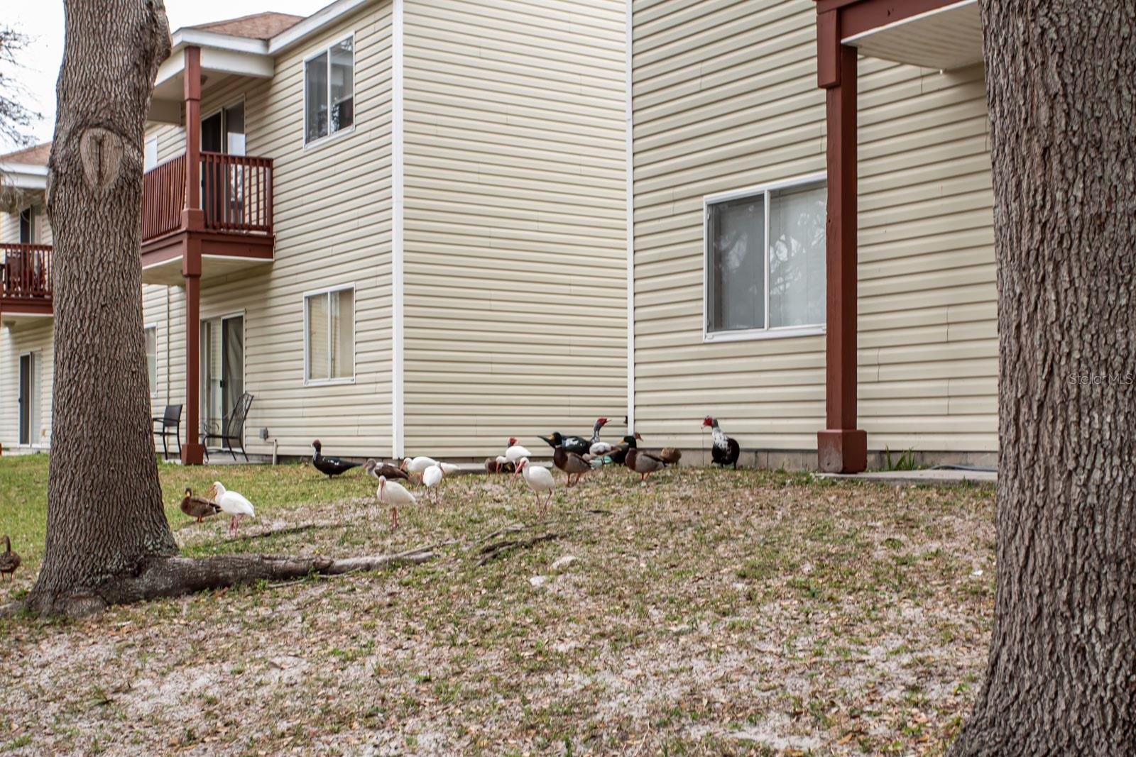 Image 36 of 39 For 6740 Moonglow Drive 101