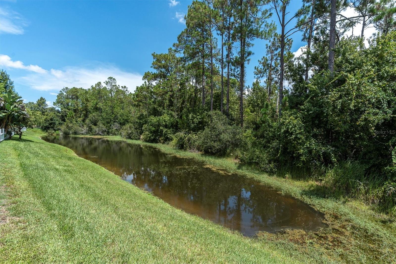 Image 39 of 52 For 12148 Colony Lakes Boulevard