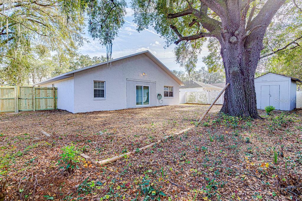 Image 13 of 25 For 40021 Parkinsonia Street