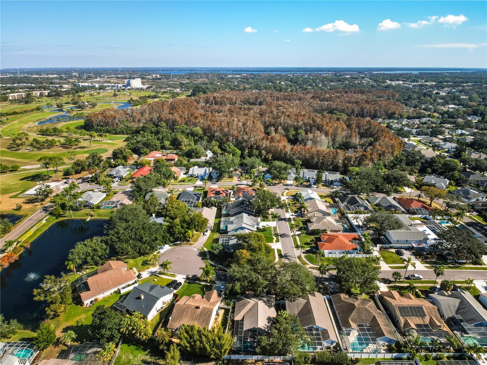 Image 55 of 56 For 765 Saddlebrook Drive