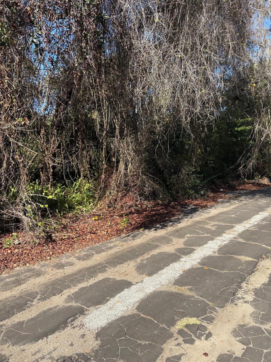 Listing photo id 1 for 0 Pana Street