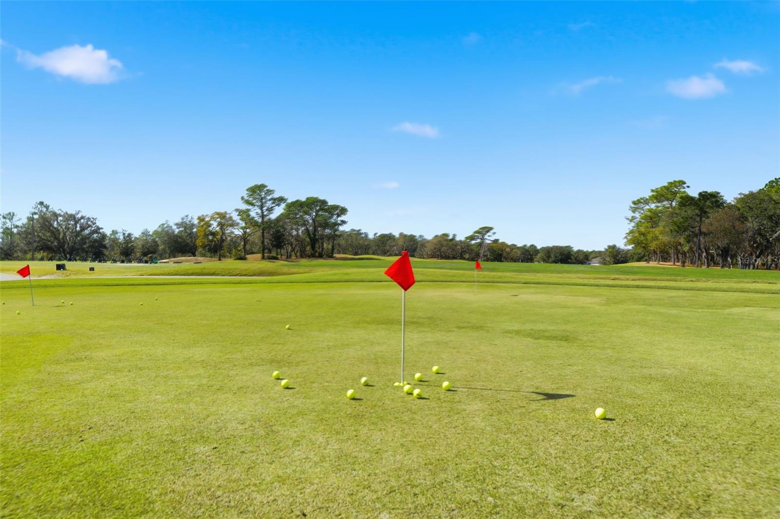 Listing photo id 95 for 31 Ryewood Circle