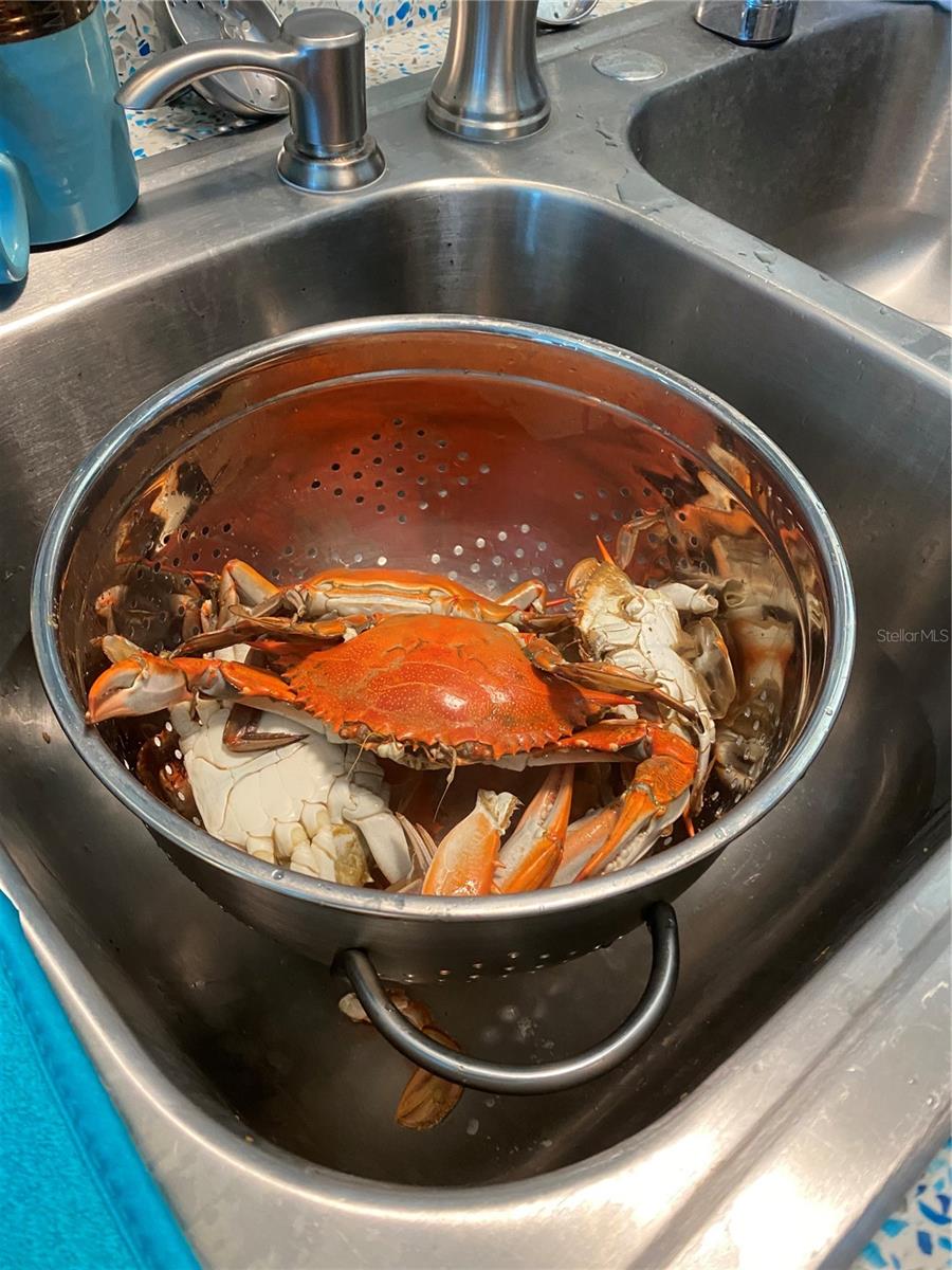 Image 72 of 84 For 13121 Beacon Court