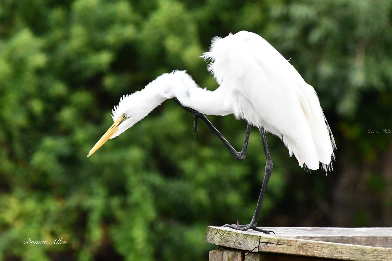 Image 74 of 84 For 13121 Beacon Court