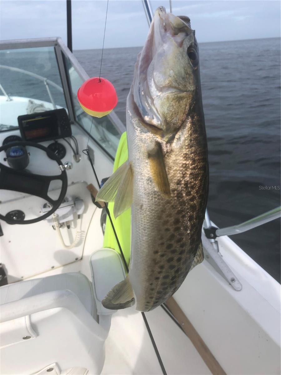 Image 75 of 84 For 13121 Beacon Court