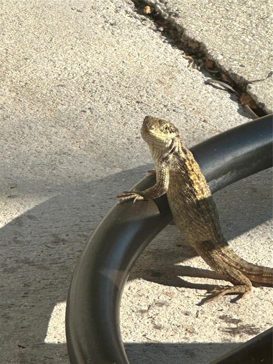 Image 76 of 84 For 13121 Beacon Court