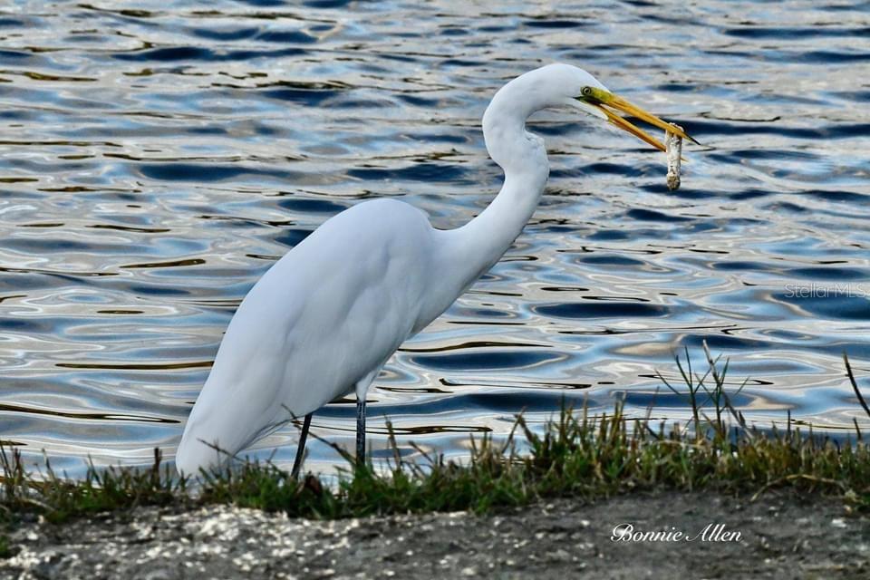 Image 77 of 84 For 13121 Beacon Court