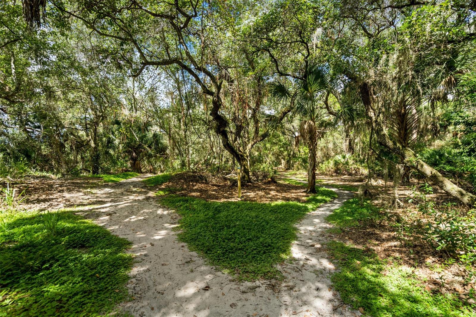 Image 59 of 88 For 2911 Woodpine Court