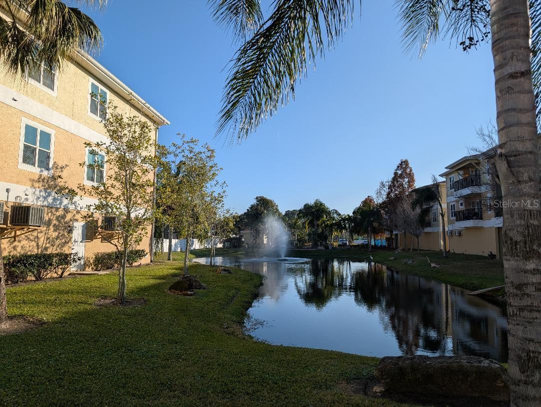 Image 4 of 24 For 5064 Royal Palms Way 203