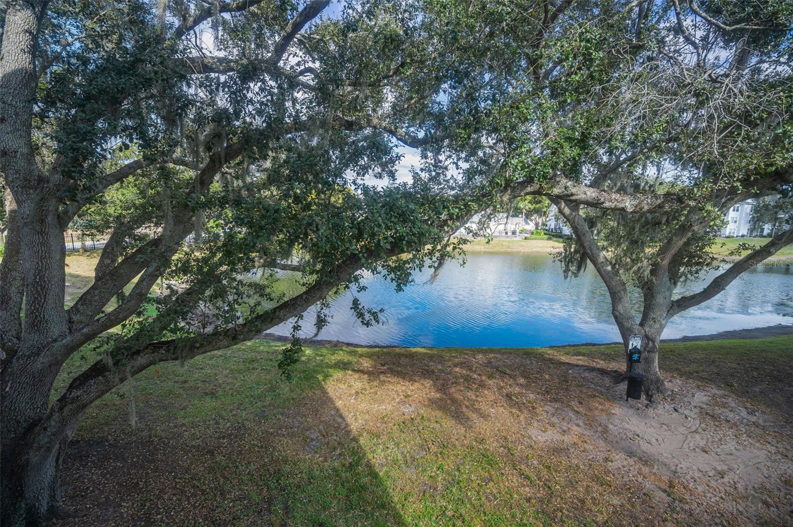 Image 27 of 43 For 3261 Haviland Court 203