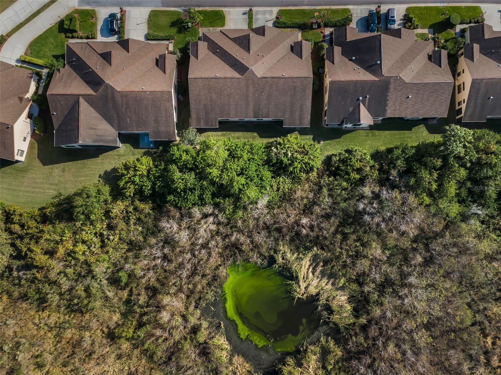 Image 28 of 59 For 9405 Palm Haven Court