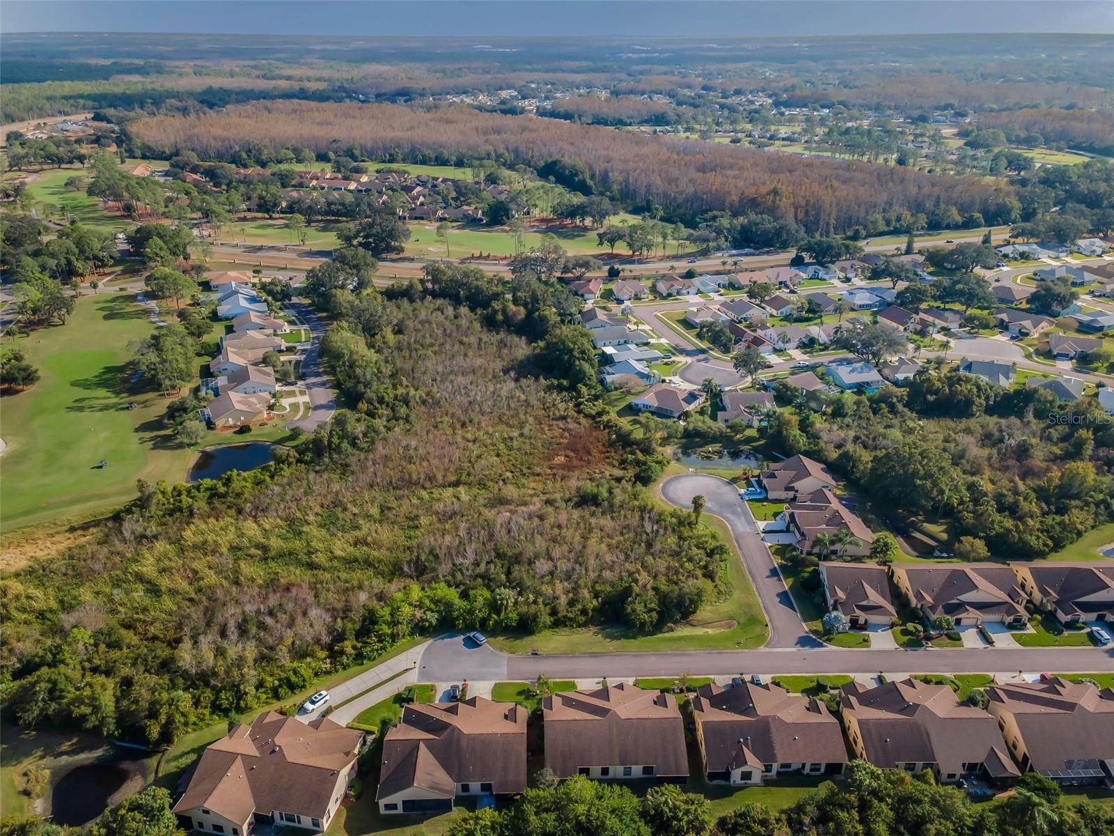 Image 36 of 59 For 9405 Palm Haven Court