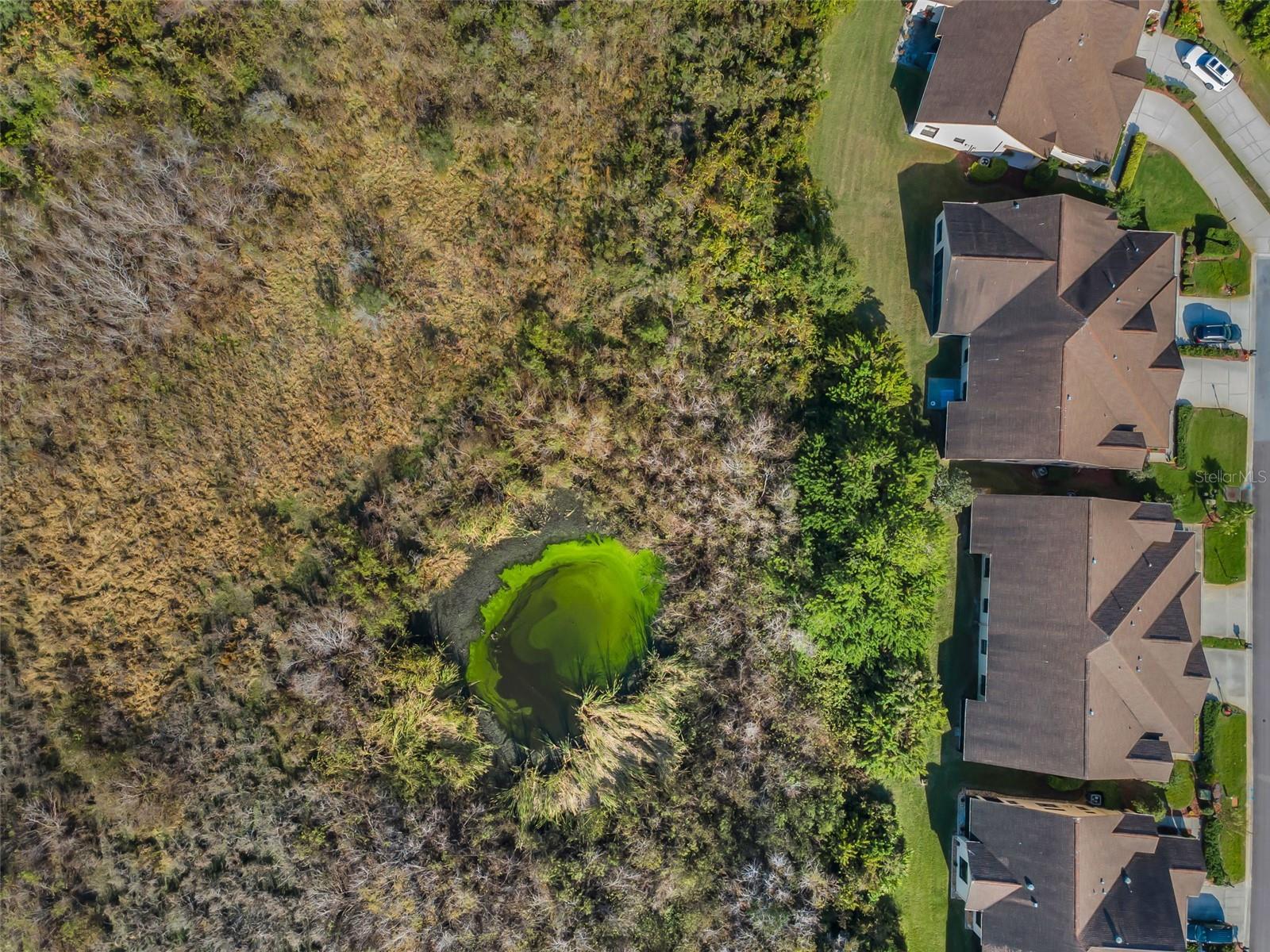 Image 37 of 59 For 9405 Palm Haven Court