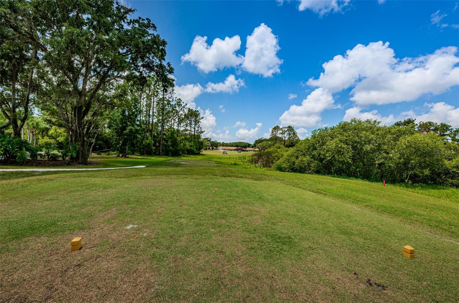 Image 54 of 59 For 9405 Palm Haven Court