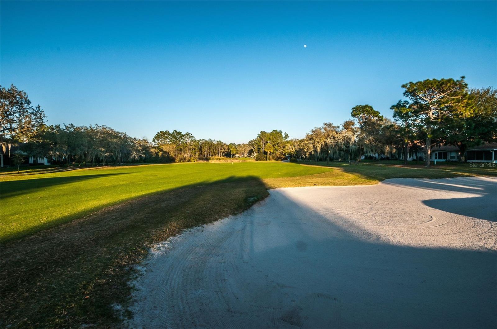 Image 56 of 59 For 9405 Palm Haven Court