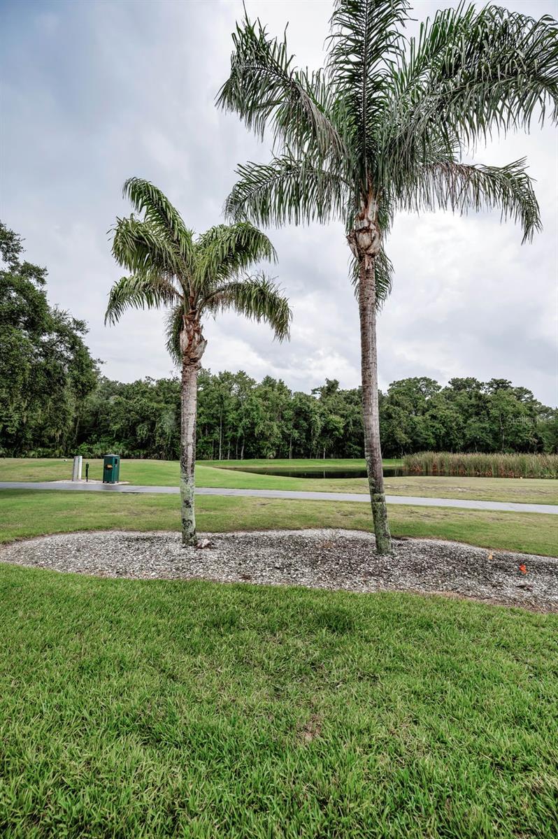 Image 34 of 66 For 6622 Pine Walk Drive