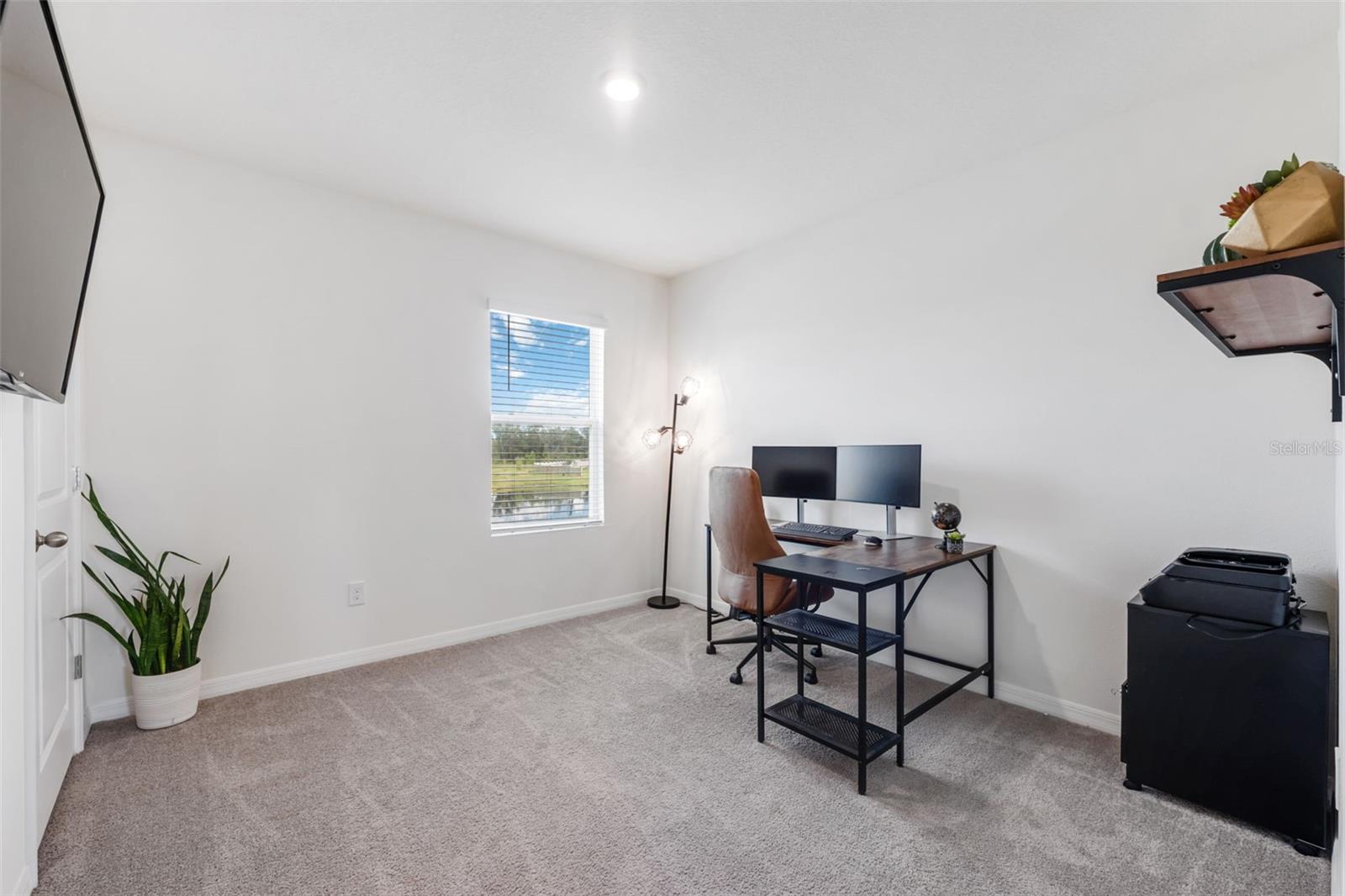 Image 20 of 43 For 30935 Penny Surf Loop