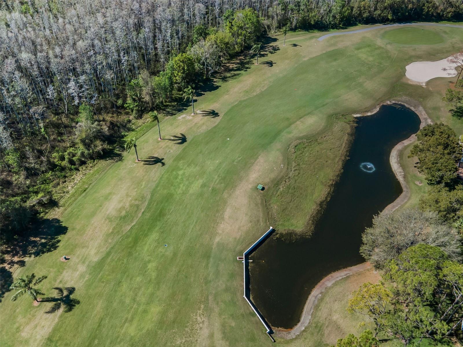 Image 39 of 75 For 9713 Sweeping View Drive