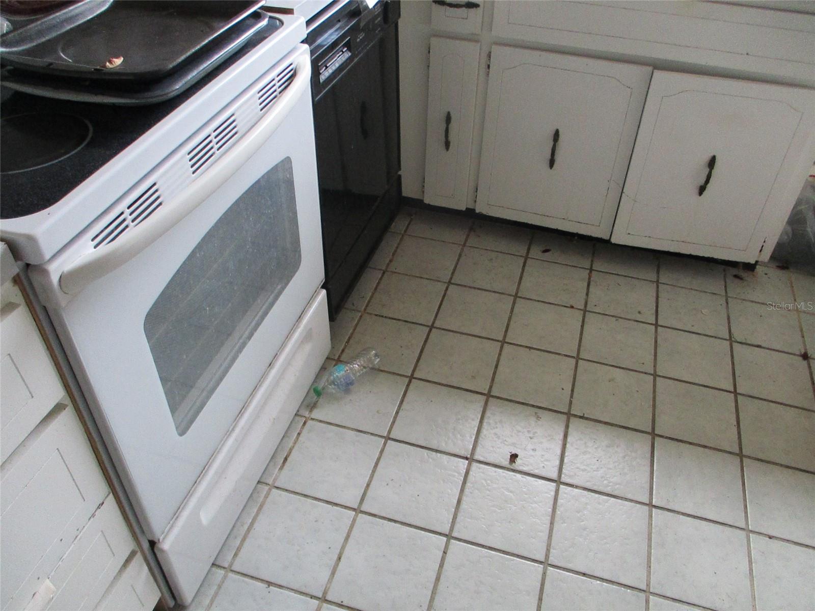 Image 8 of 11 For 9635 Rainbow Lane