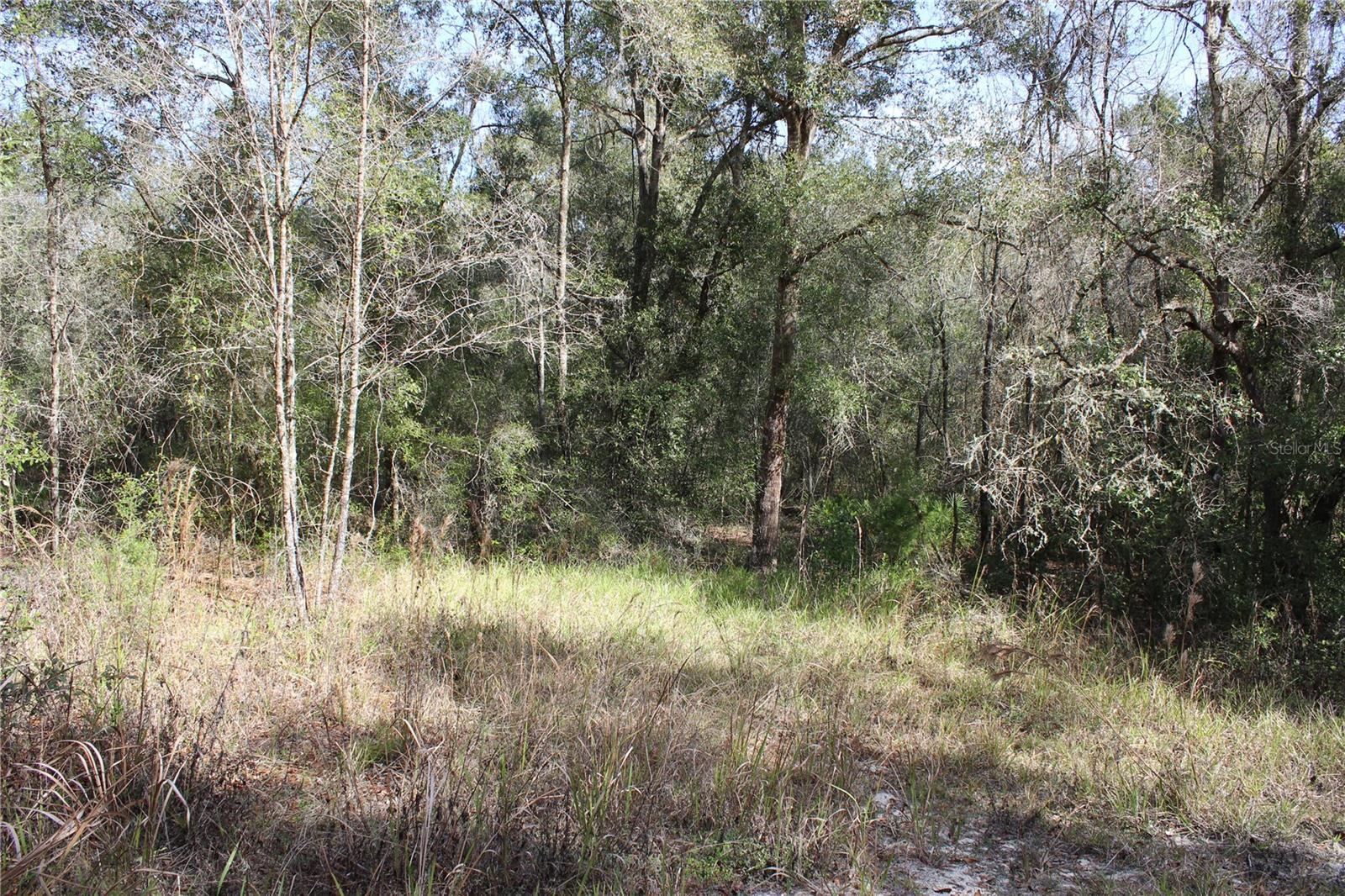 Image 2 of 7 For 34273 Belt Drive