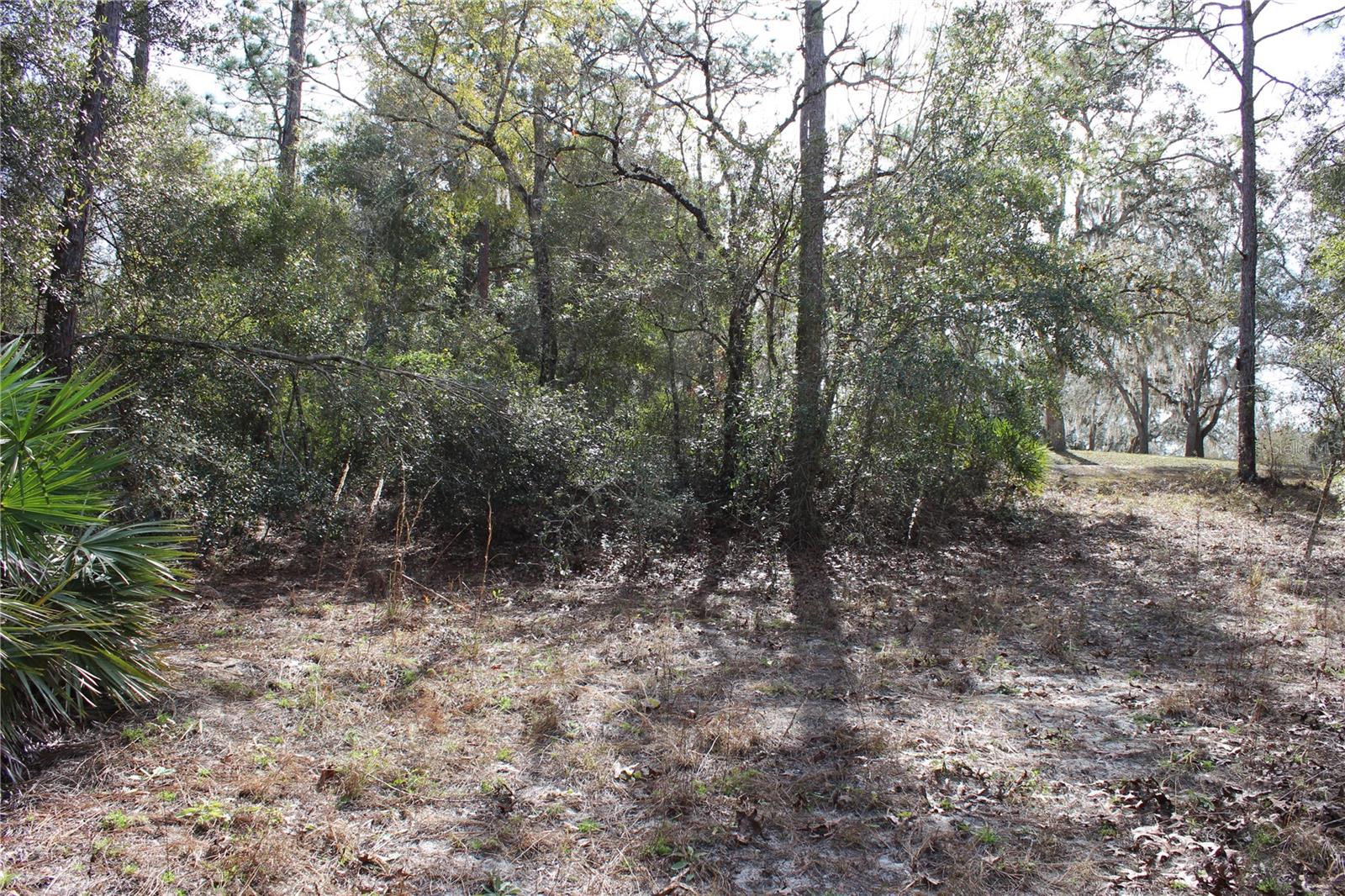 Image 3 of 7 For 34273 Belt Drive