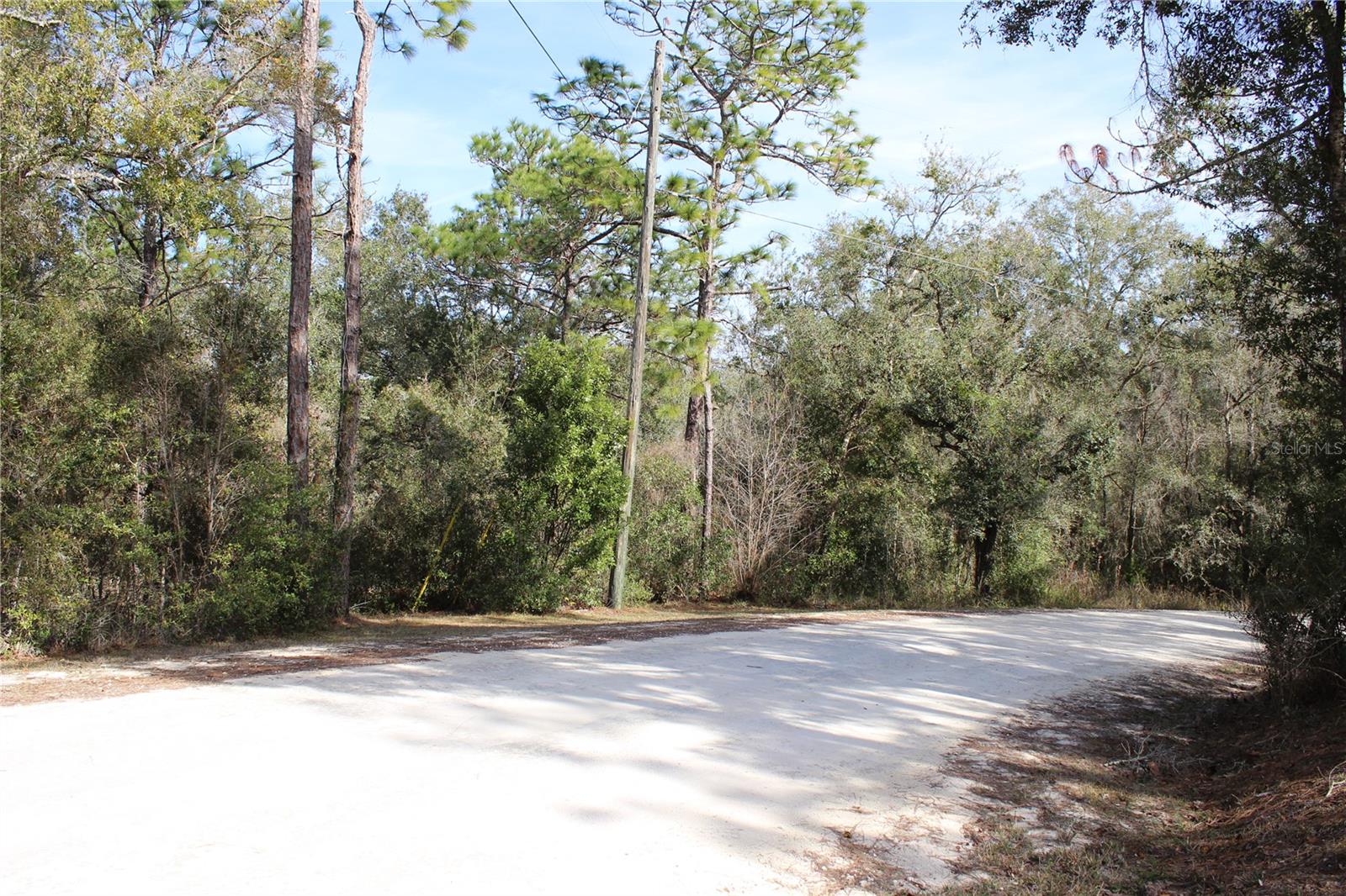 Image 5 of 7 For 34273 Belt Drive