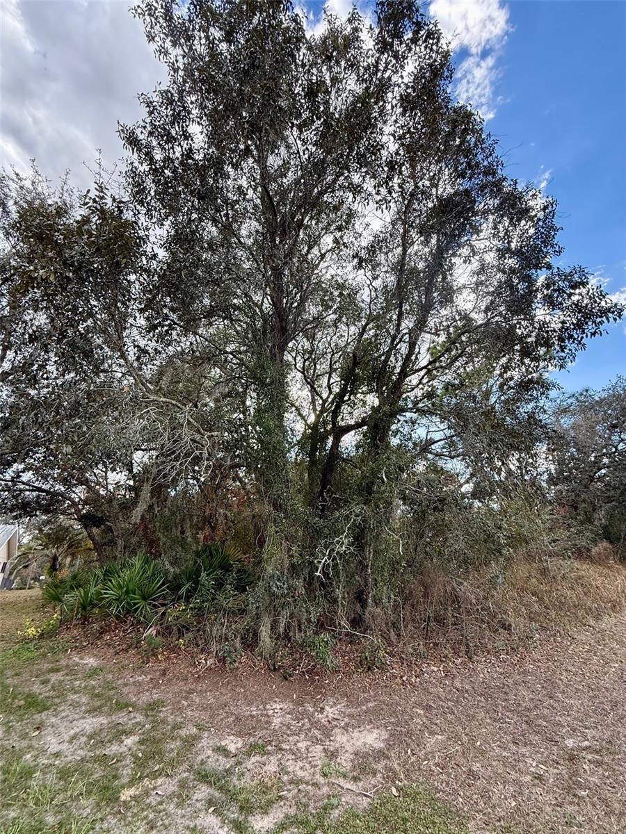 Image 8 of 8 For 0 Centralia Road