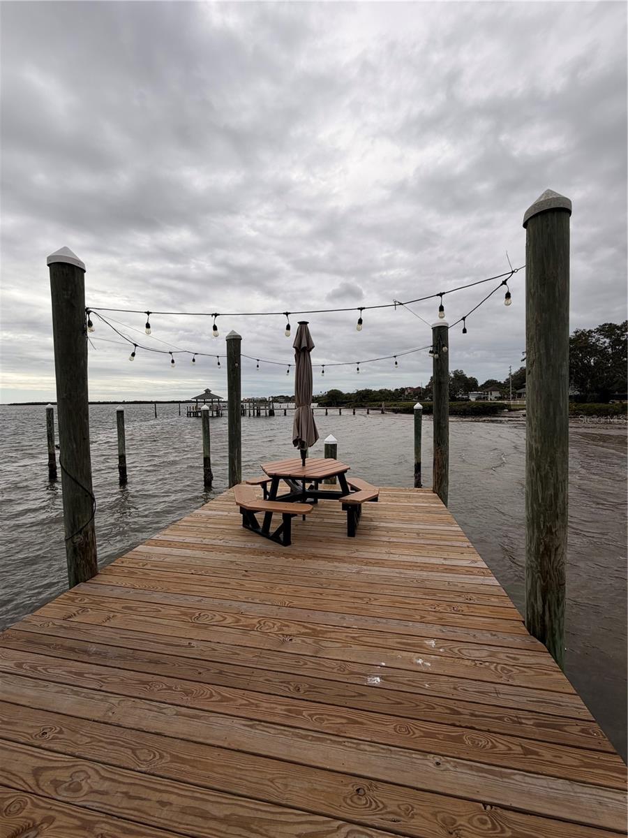 Image 27 of 39 For 413 Bayshore Boulevard B2