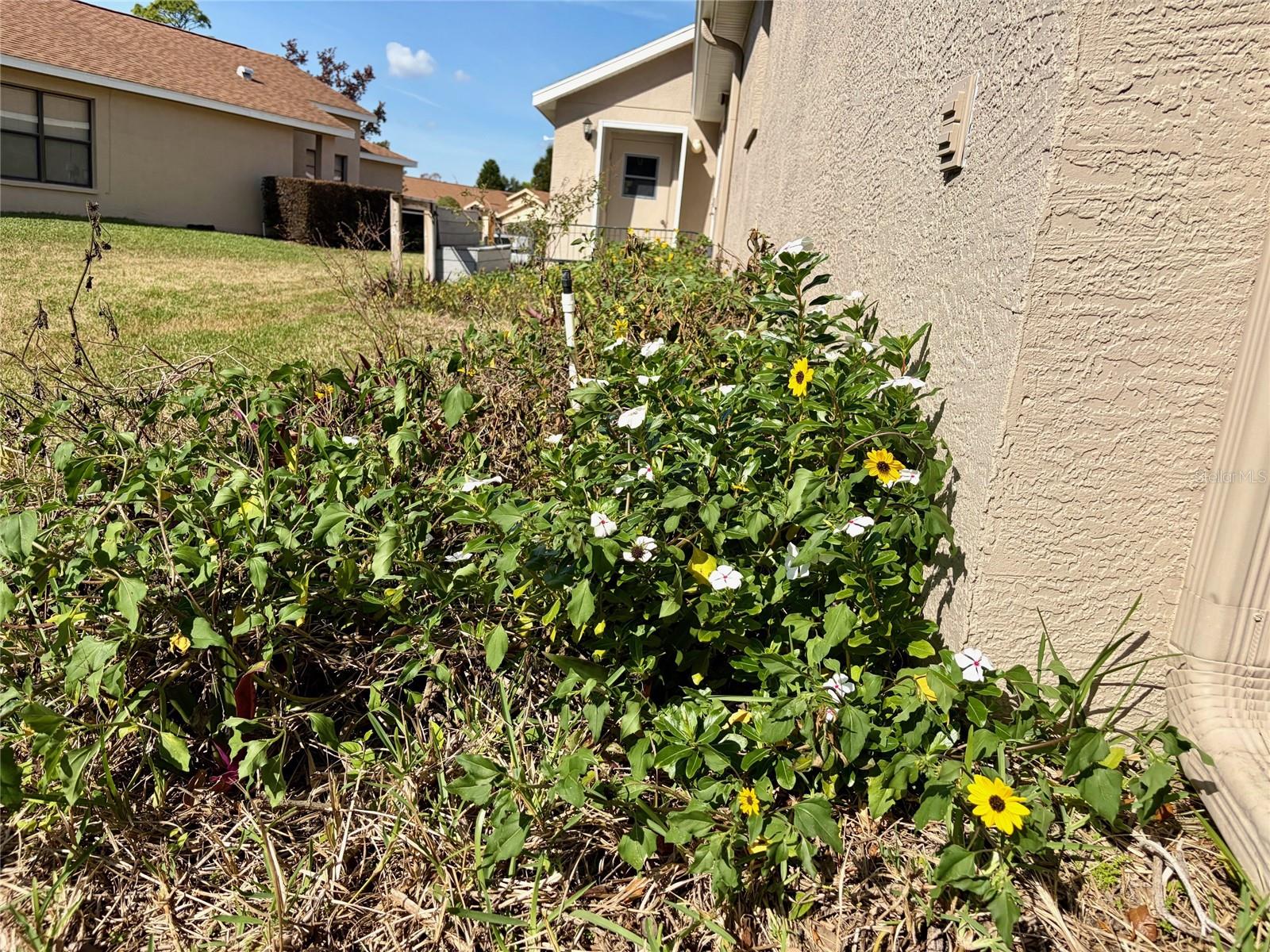 Image 18 of 62 For 11430 Kingstree Court