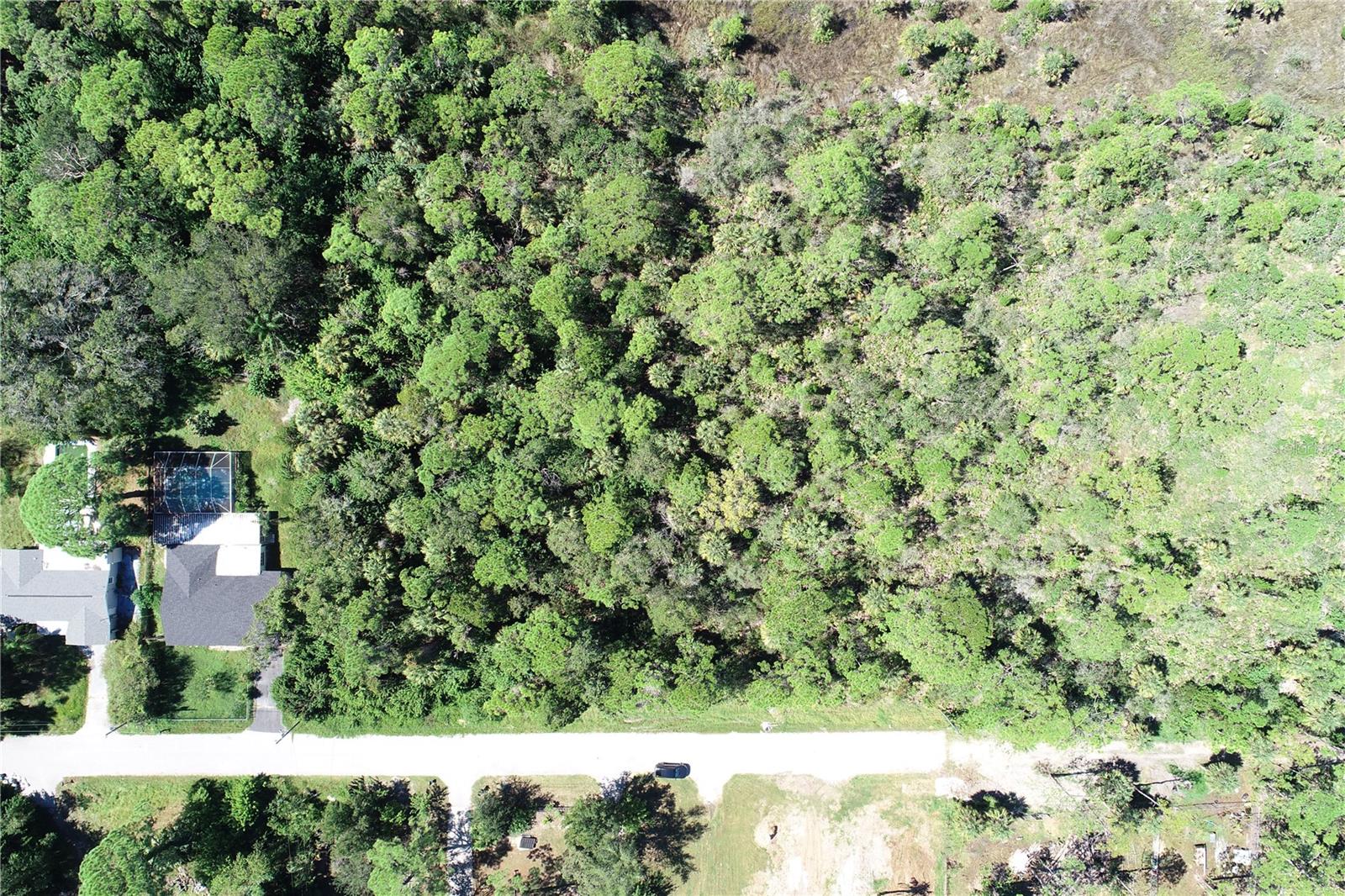 Listing photo id 7 for 00 Shark Street Lot 3