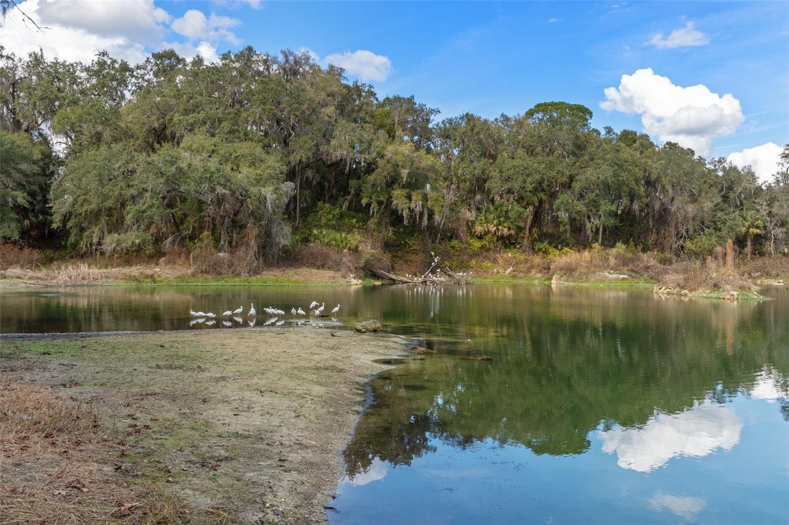 Listing photo id 33 for 2786 Canterbury Lake Drive