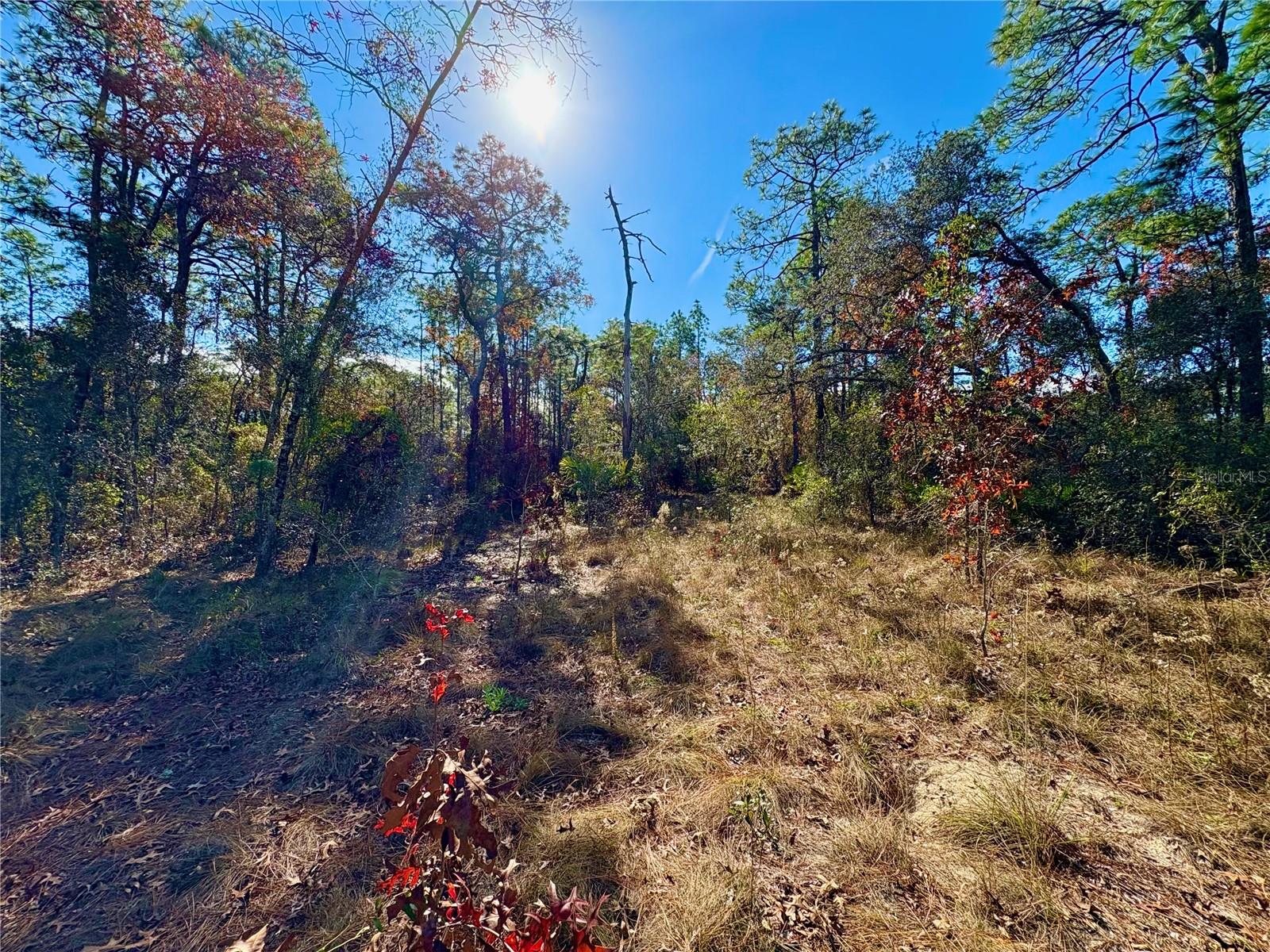 Image 2 of 7 For 9164 Birmingham Avenue