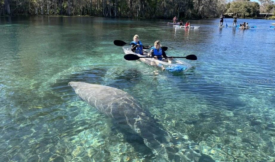 Image 7 of 7 For 9164 Birmingham Avenue