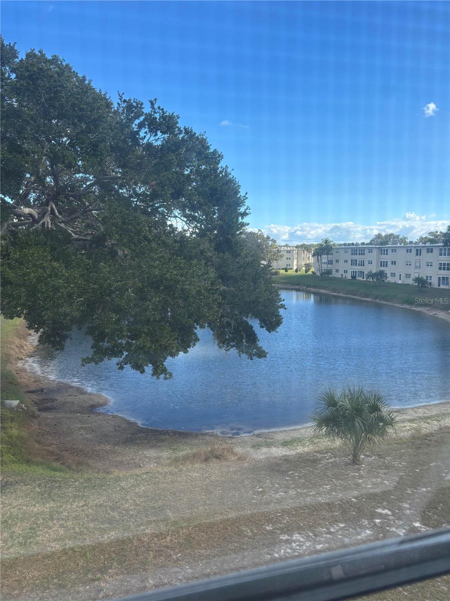 Image 10 of 17 For 821 Deleon Court 303