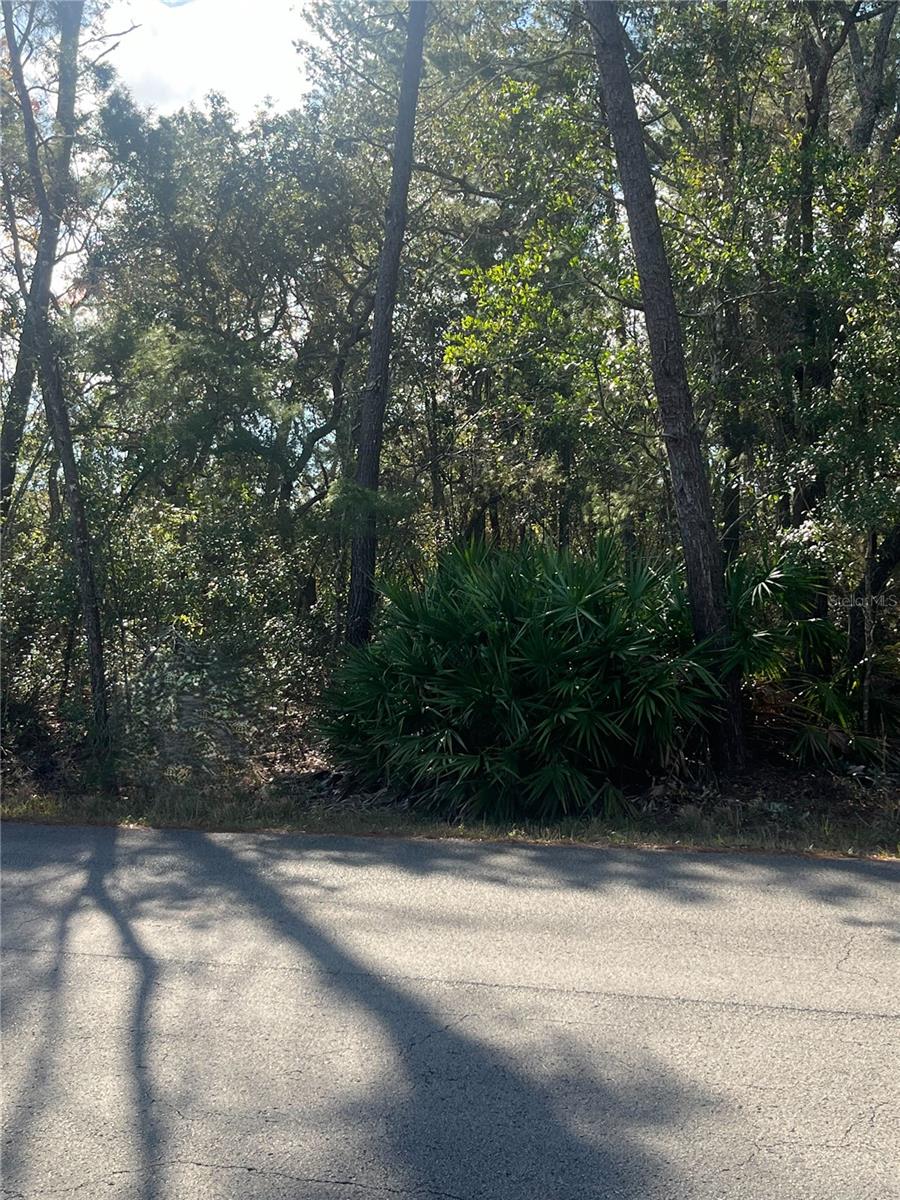 Listing photo id 0 for 0 Yearling Avenue