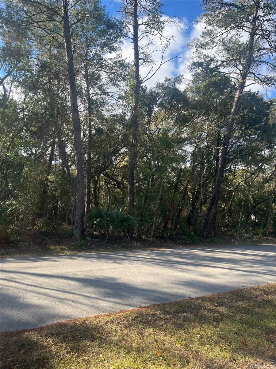 Listing photo id 2 for 0 Yearling Avenue