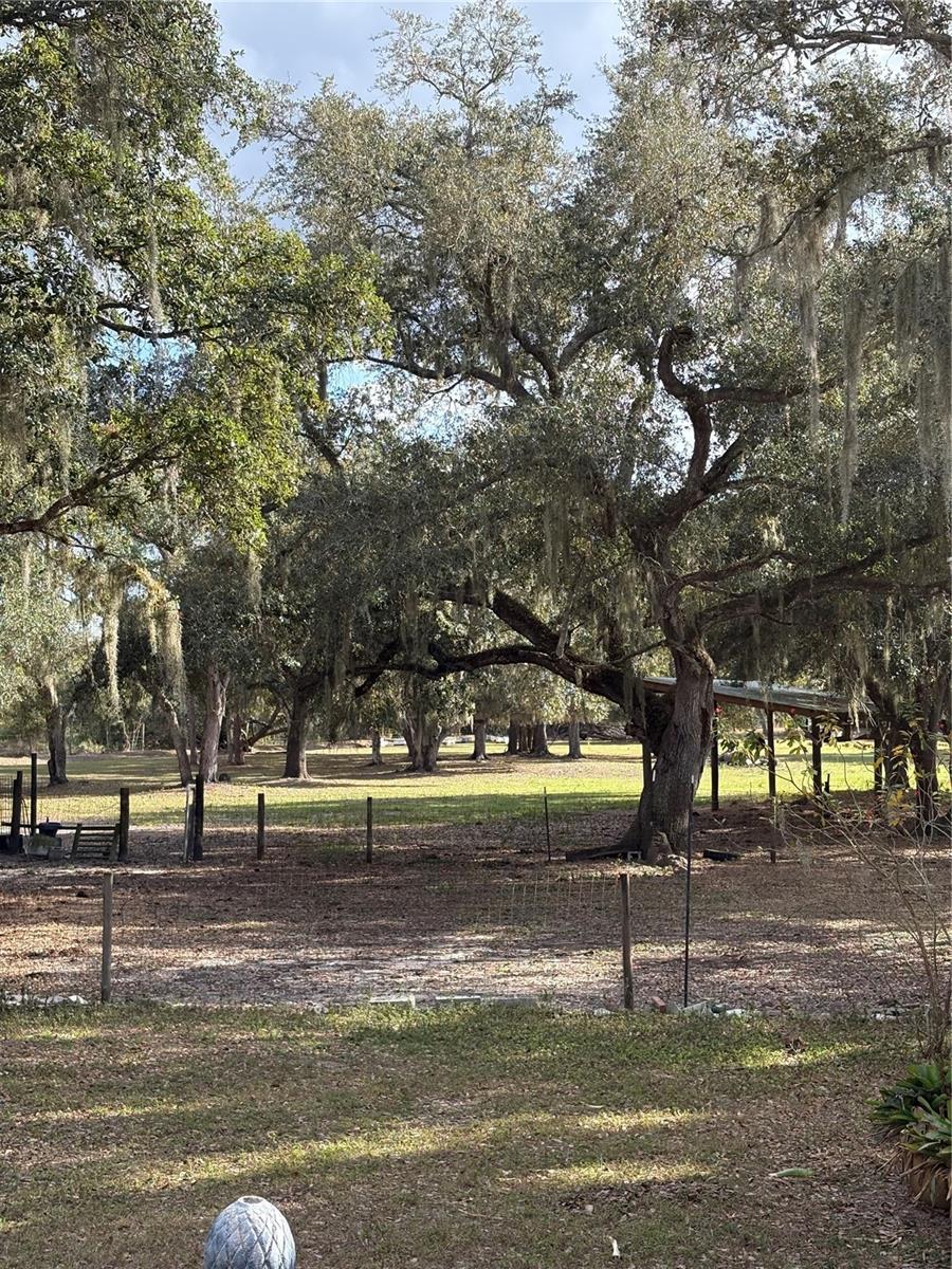 Image 30 of 41 For 4981 Lyons Street