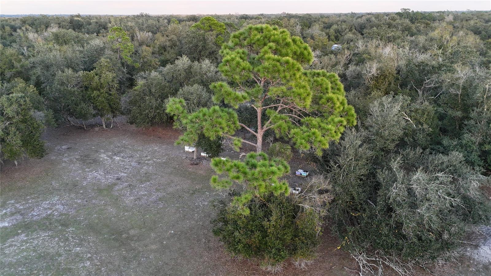 Image 34 of 41 For 4981 Lyons Street