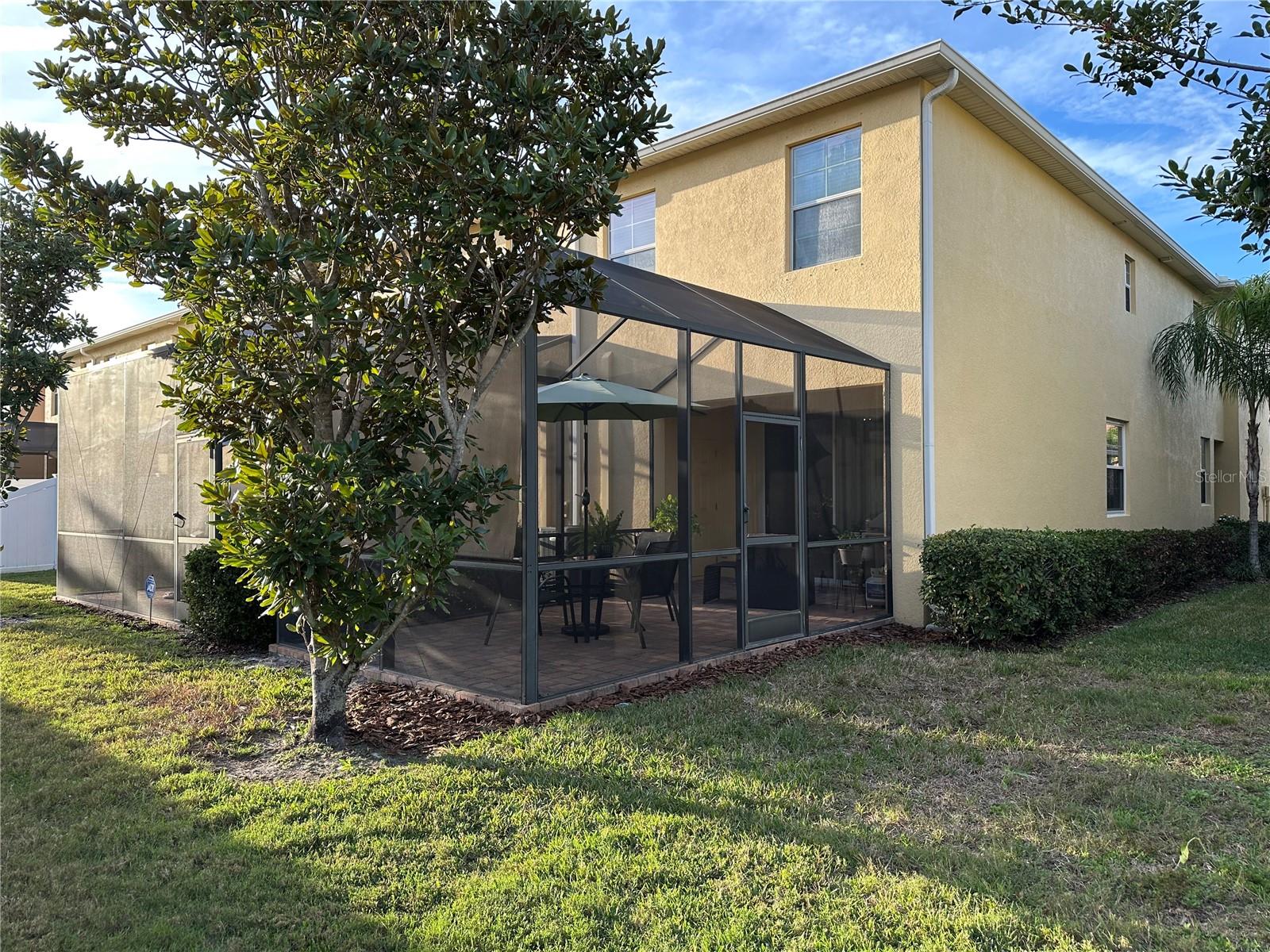 Image 19 of 19 For 9476 Trumpet Vine Loop