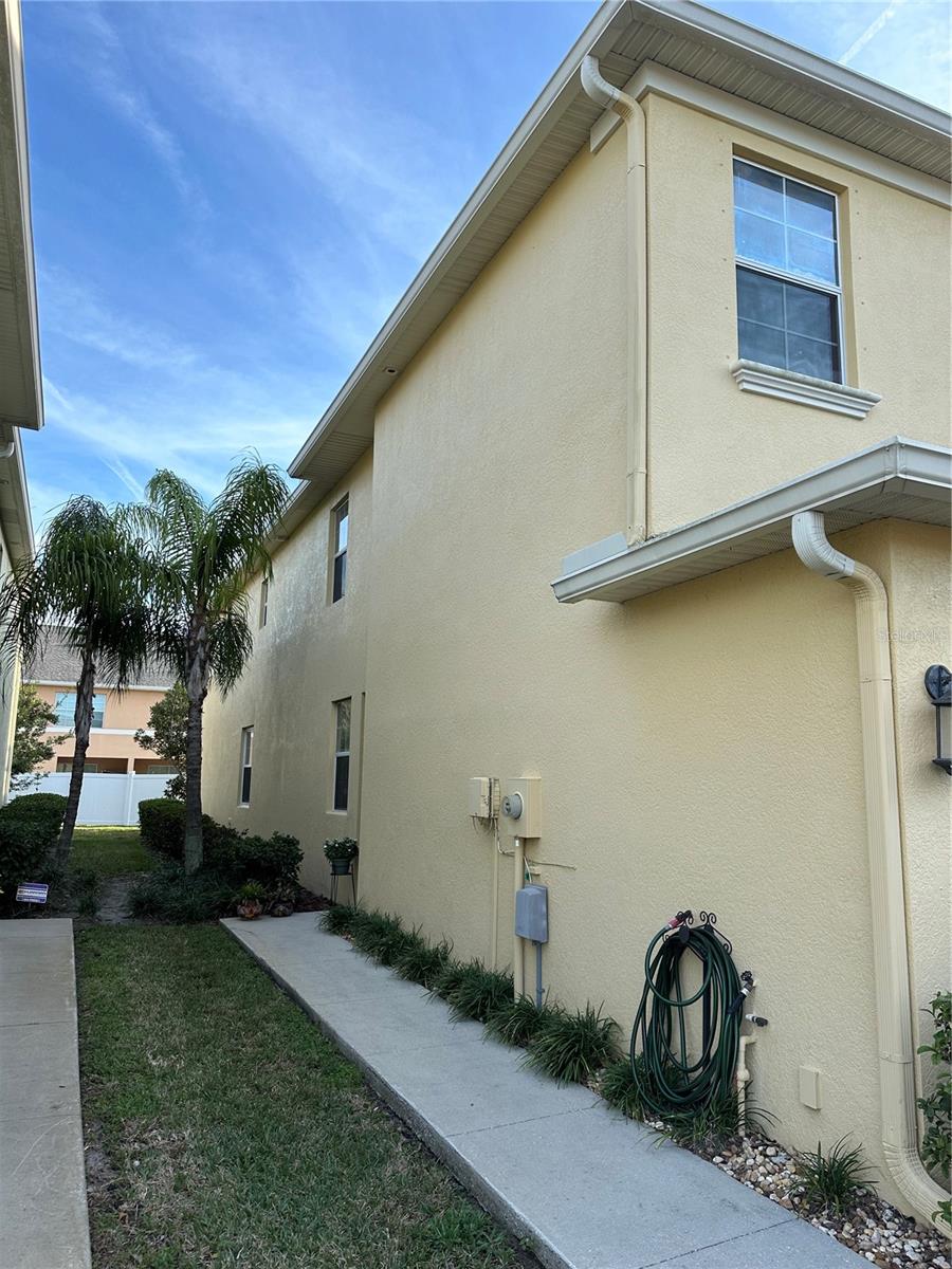 Image 2 of 19 For 9476 Trumpet Vine Loop