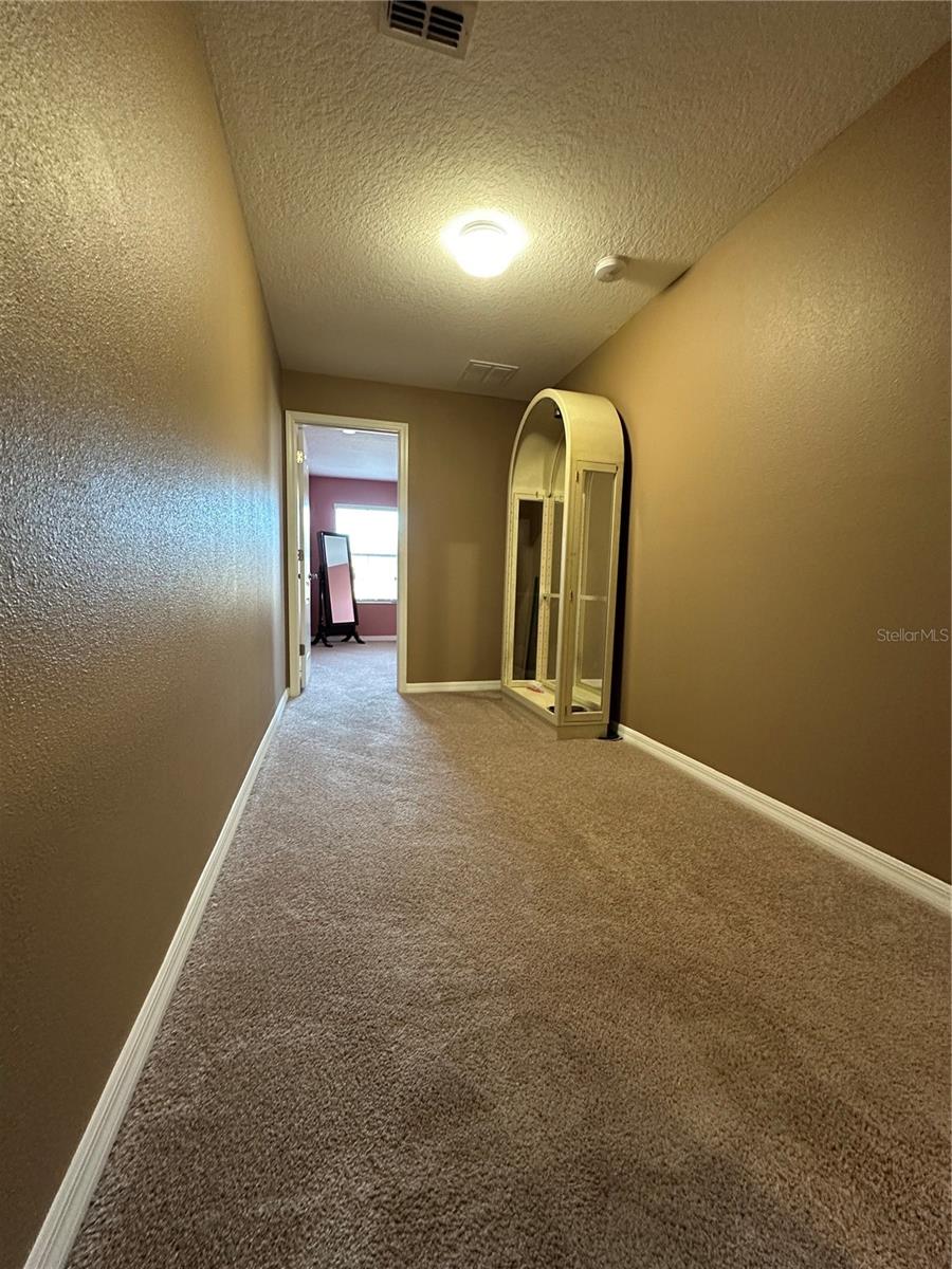 Image 9 of 19 For 9476 Trumpet Vine Loop